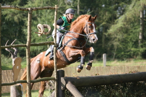 CDV Cup Siegerin 2007: Michelle Radzey CDV Cup Siegerin 2008: Michelle Radzey