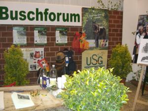Unser "Buschforum" Unser "Buschforum"